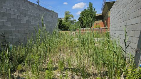 Beam By Beam - 1000003259.jpg