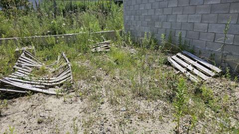 Beam By Beam - 1000003257.jpg