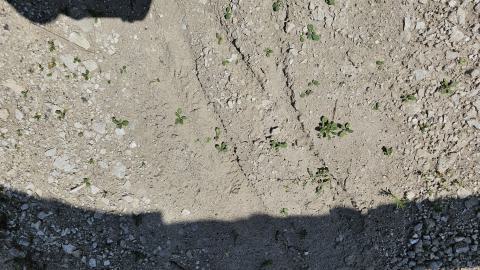 Beam By Beam - 1000003255.jpg