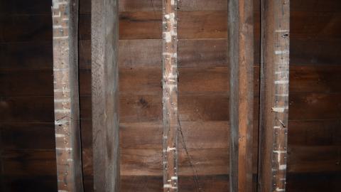 Tragedy Struck - DSC_1476.JPG