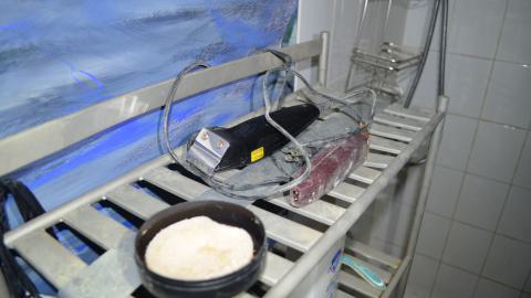 Photo from Tragedy Struck