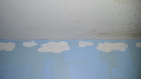 Tragedy Struck - DSC_1438.JPG