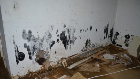 Tragedy Struck - DSC_1436.JPG