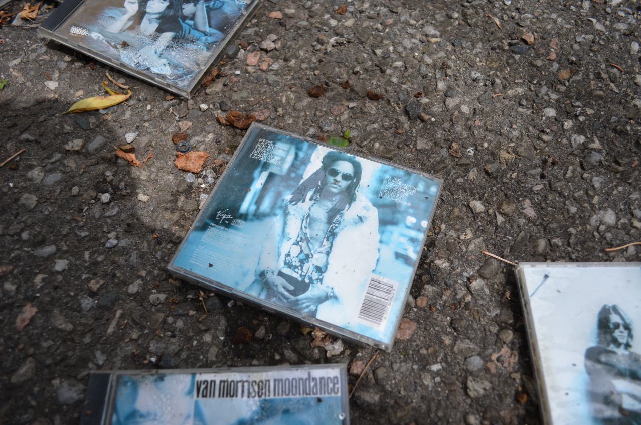 But wait! Theres more! - DSC_1599.JPG