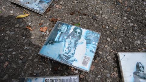 But wait! Theres more! - DSC_1599.JPG