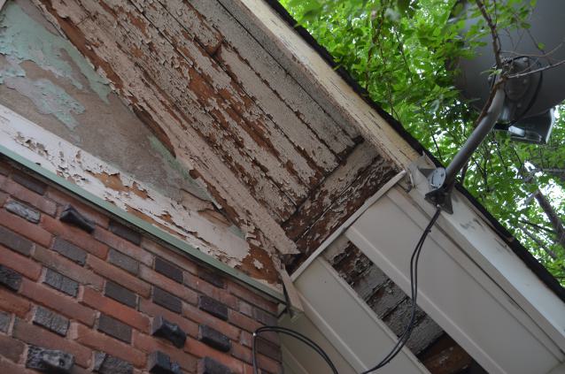 But wait! Theres more! - DSC_1596.JPG