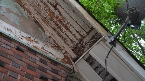 But wait! Theres more! - DSC_1596.JPG