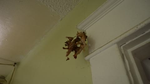 But wait! Theres more! - DSC_1562.JPG