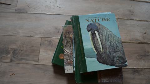 But wait! Theres more! - DSC_1558.JPG