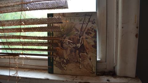 But wait! Theres more! - DSC_1556.JPG