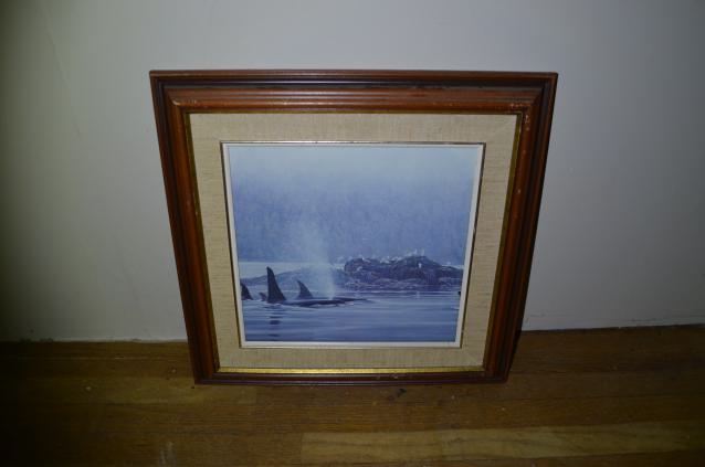 But wait! Theres more! - DSC_1528.JPG