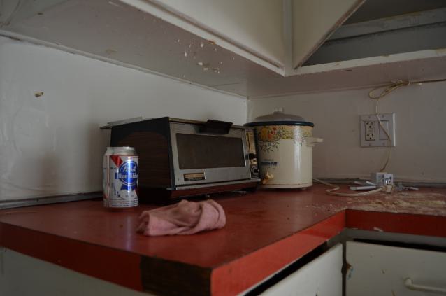 But wait! Theres more! - DSC_1527.JPG