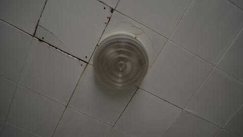 But wait! Theres more! - DSC_1523.JPG