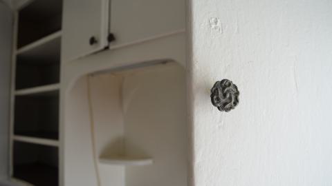 But wait! Theres more! - DSC_1522.JPG