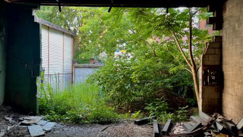 Barack's Shack - IMG_2232.jpg