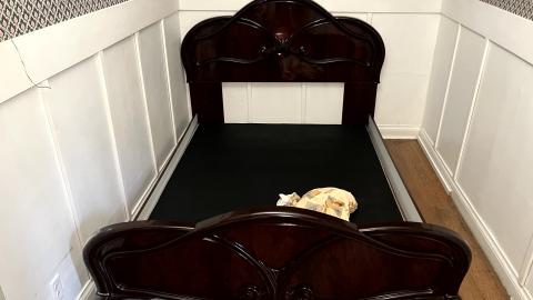 Back to the 1860's - IMG_2281.jpg