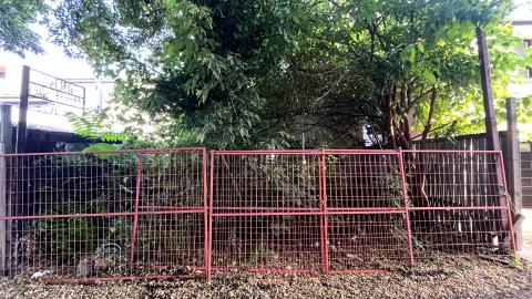 Barack's Shack - IMG_2243.jpg