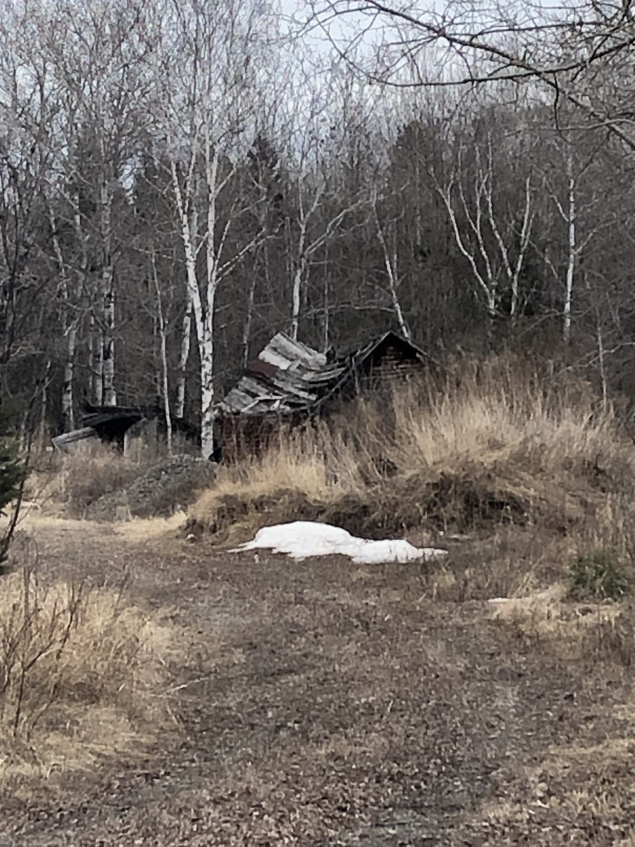 Belrose Cabin - IMG_3998.jpeg