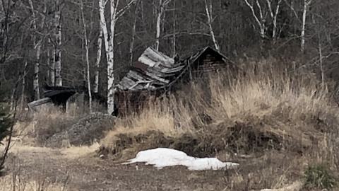 Belrose Cabin photo 4