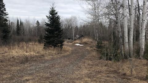 Belrose Cabin photo 2