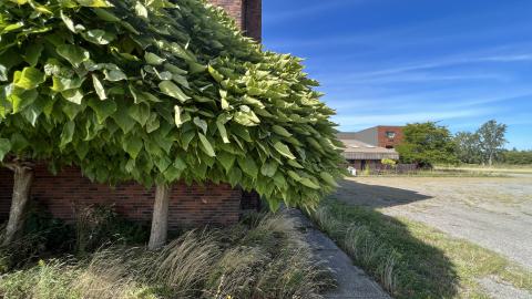 Photo from Two Visits - September 2022