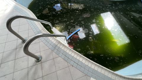 Two Visits - September 2022 - IMG_1317.jpeg