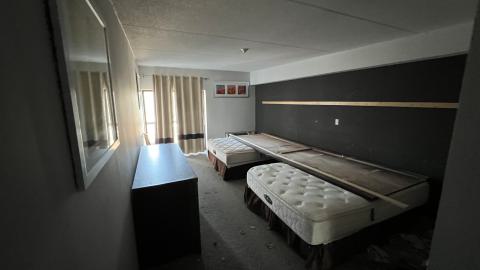 Two Visits - September 2022 - IMG_1299.jpeg