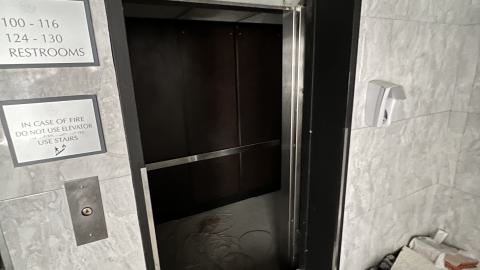 Two Visits - September 2022 - IMG_1291.jpeg