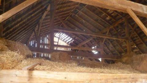 Deavitt - Deavitt-Farm42.jpg