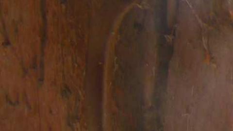 Deavitt - Deavitt-Farm47.jpg