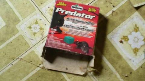 Deavitt Farm photo 3