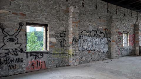 July 2025 - PXL_20250728_003838650.jpg