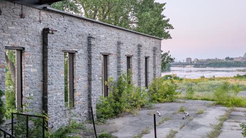 July 2025 - PXL_20250728_003906585.jpg