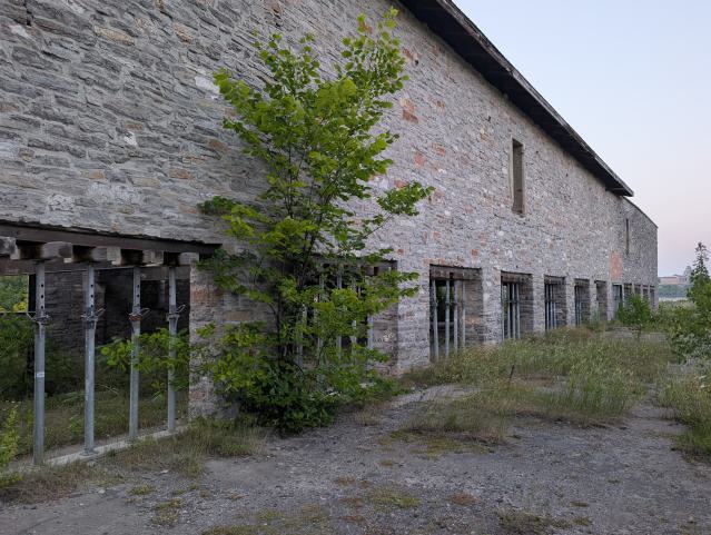 July 2025 - PXL_20250728_003656096.jpg