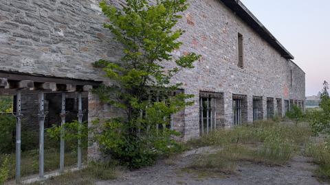 July 2025 - PXL_20250728_003656096.jpg