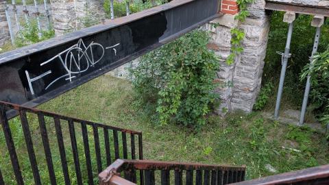 July 2025 - PXL_20250728_003621835.jpg