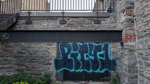 July 2025 - PXL_20250728_003524951.jpg