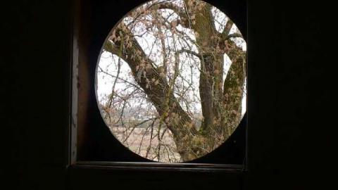 Deavitt - Deavitt-Farm54.jpg