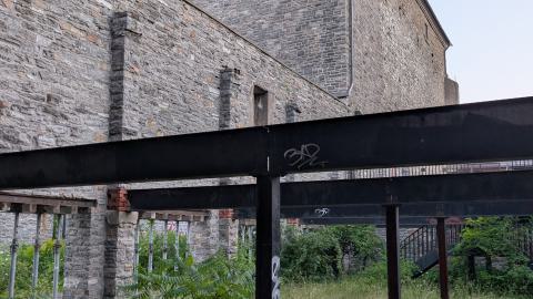 July 2025 - PXL_20250728_003508304.jpg