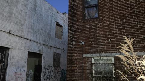 Got Milk? - IMG_4007.jpeg