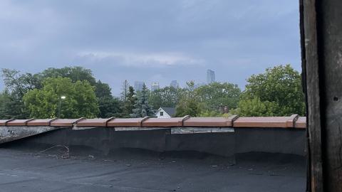 Got Milk? - IMG_5767.jpeg