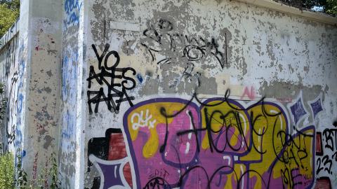 Photo from Down By The Bay