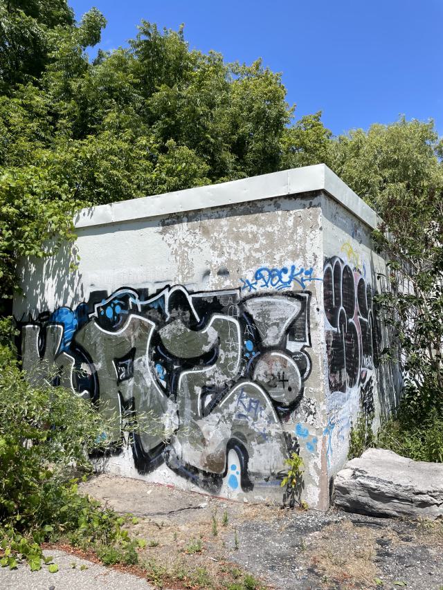 Down By The Bay photo 2