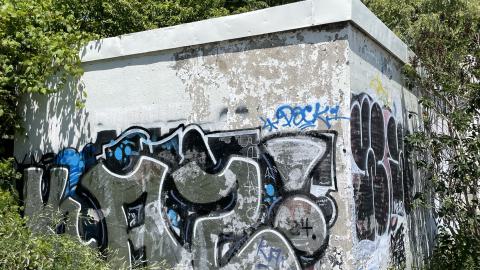 Down By The Bay cover photo