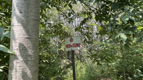 Photo from August 2025 - Coral Cove