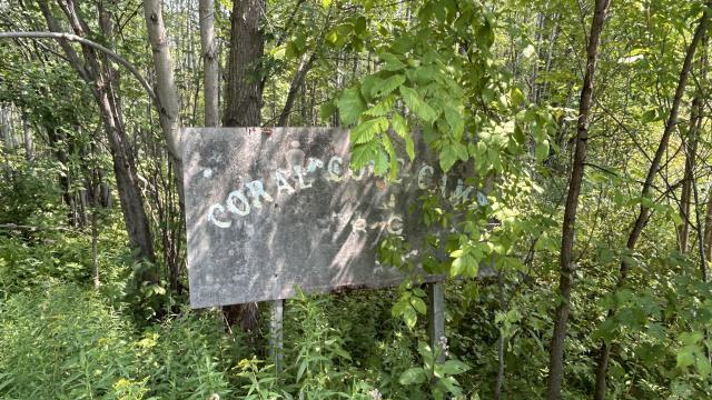 Coral Cove Camp photo 3