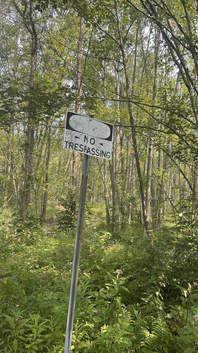 Coral Cove Camp photo 4