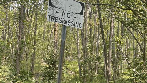 Photo from August 2025 - Coral Cove