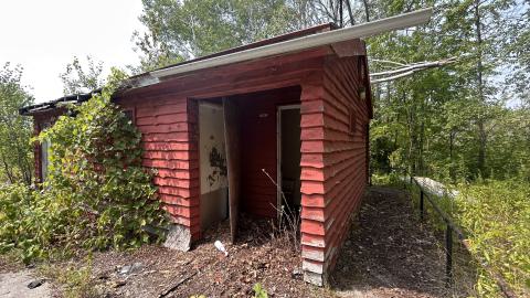 August 2025 - Coral Cove - IMG_7133.jpeg