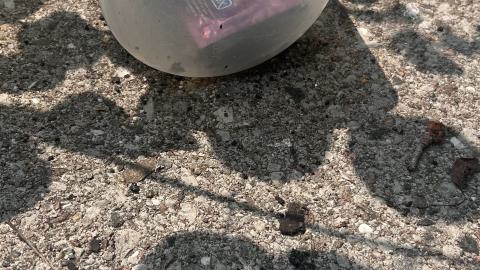 August 2025 - Coral Cove - IMG_7130.jpeg